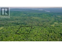 0 Peplinskie Road, Madawaska Valley, ON K0J1L0 Photo 26