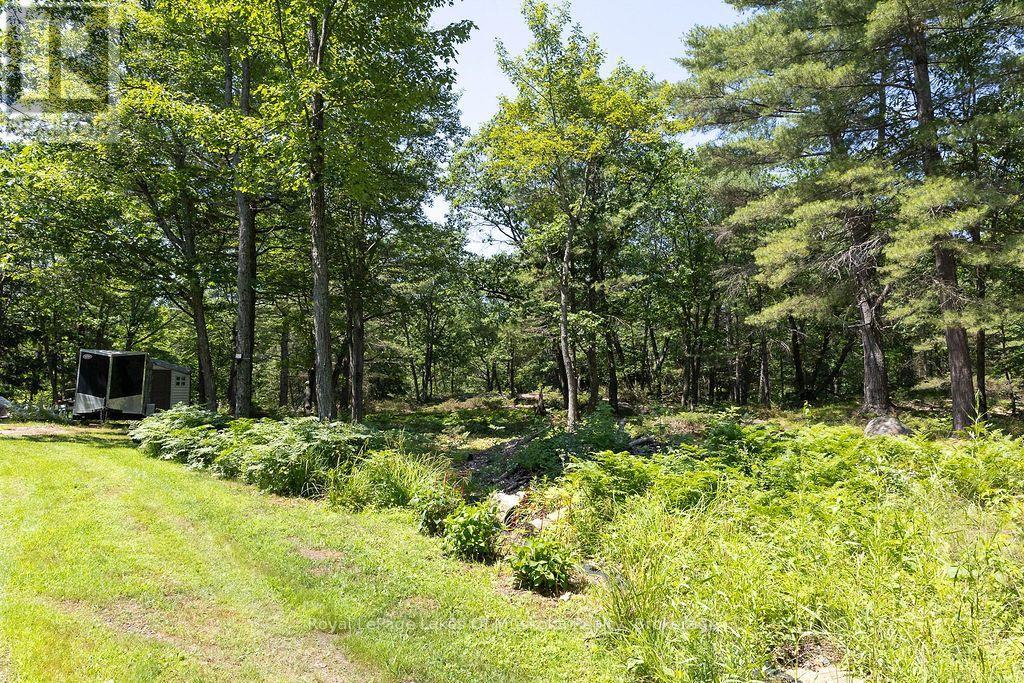 1075 LEONARD LAKE 2 ROAD - 35