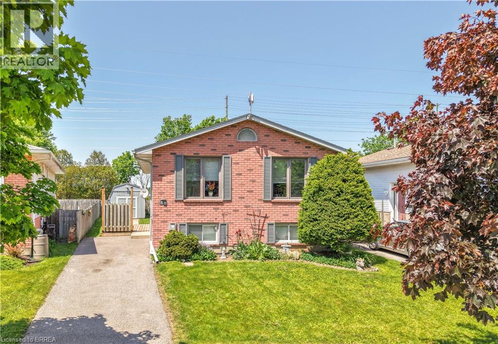 58 ARBOR Drive - 1
