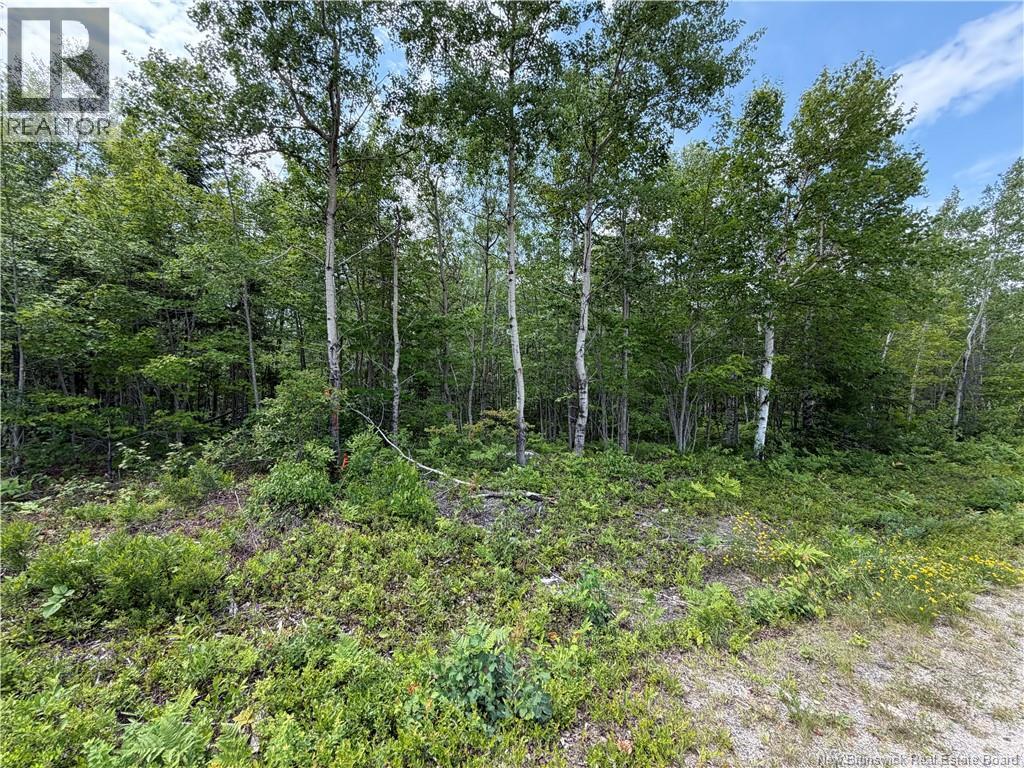 Lot 2 O'Keefe Road