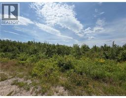 Lot 5 O'Keefe, photo 2