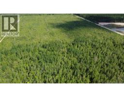 Lot 5 O'Keefe, photo 5