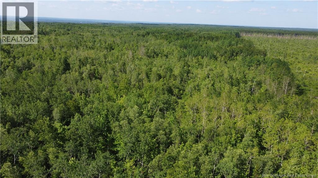 Lot 3 O'Keefe, Miramichi, New Brunswick, E1V6J3, Miramichi, New Brunswick — photo 5 of 5