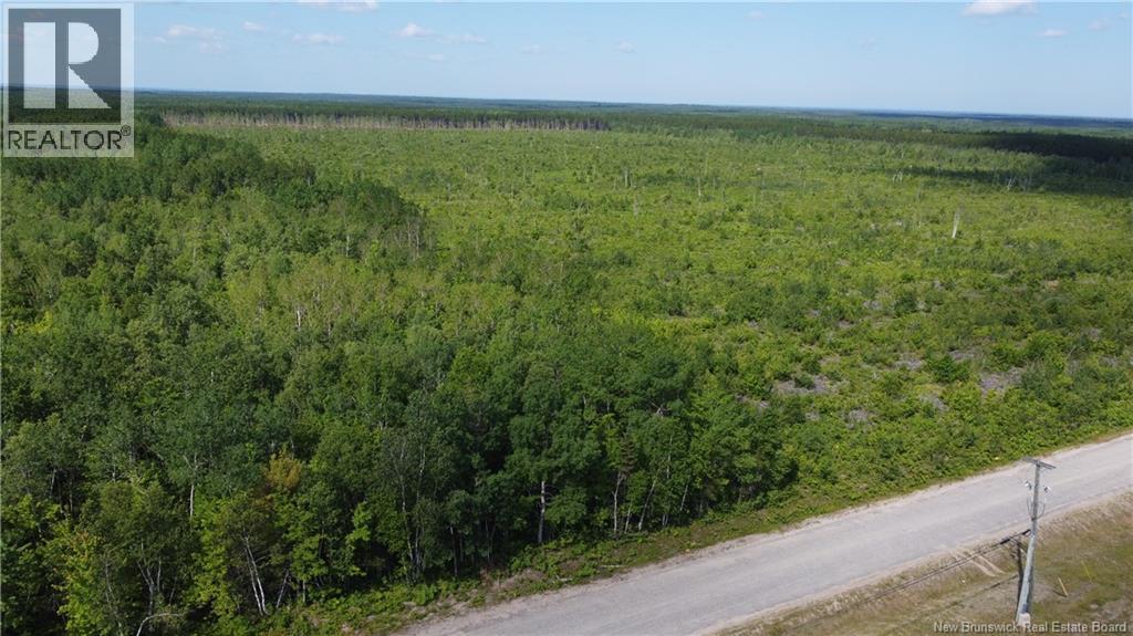 Lot 3 O'Keefe, Miramichi, New Brunswick, E1V6J3, Miramichi, New Brunswick — photo 4 of 5