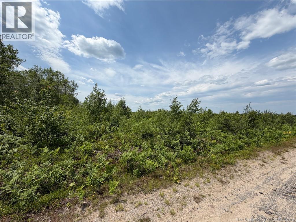 Lot 4 O'Keefe Road