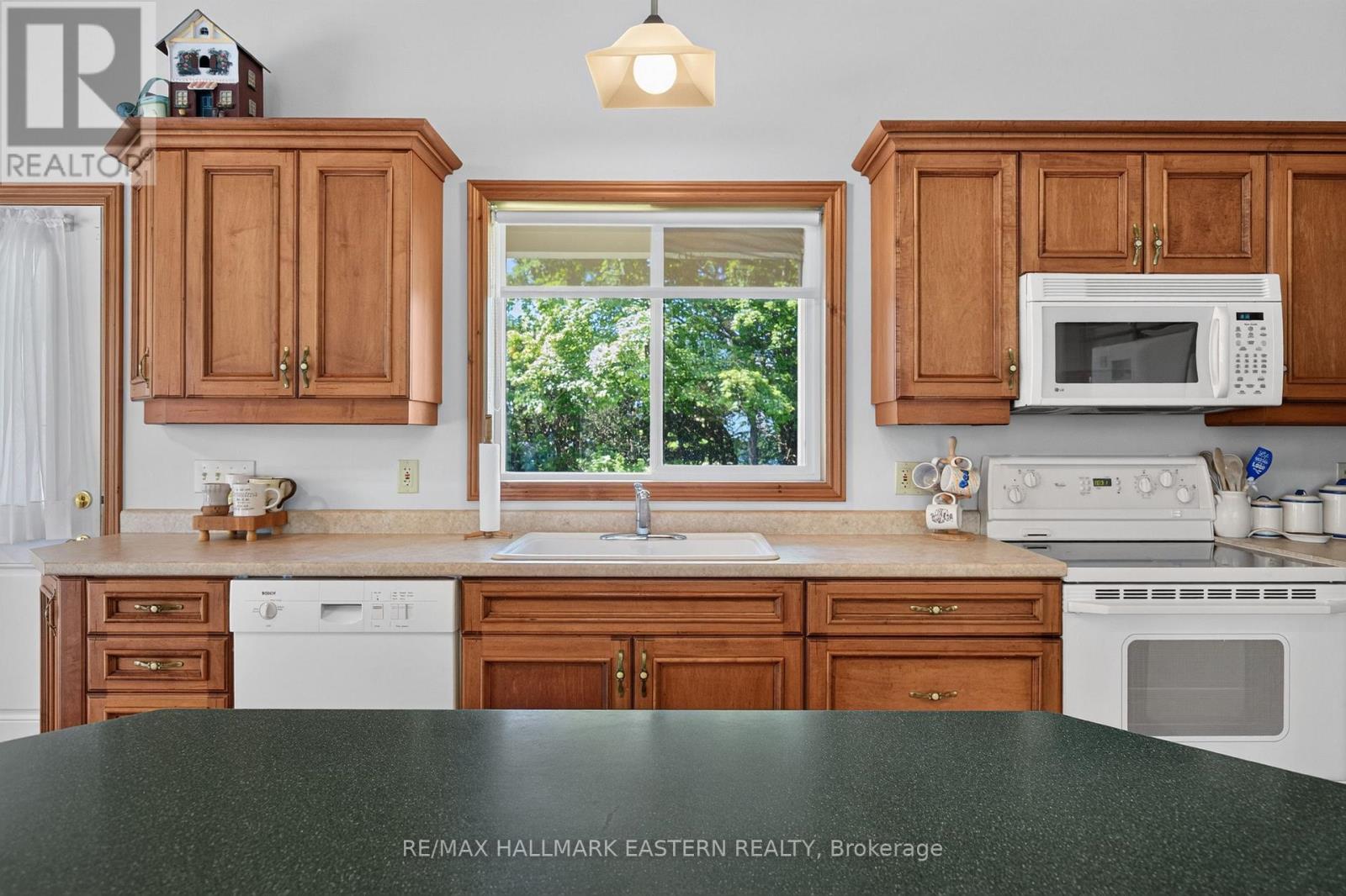734 DUFFUS DRIVE - 20