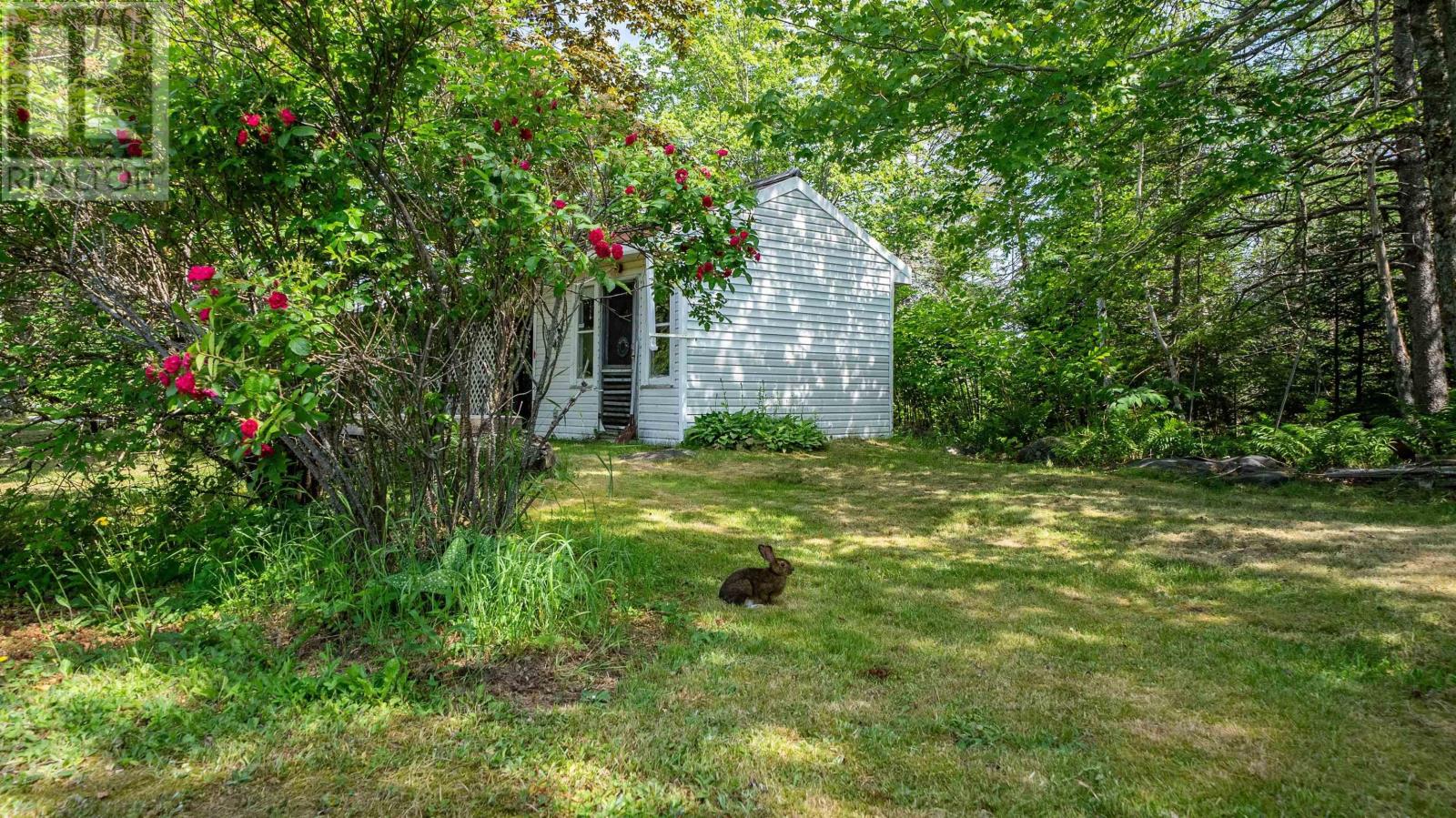 522 East River Road - 11