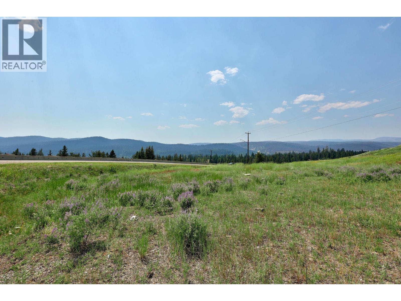 73 ARD RIGH Road, Logan Lake