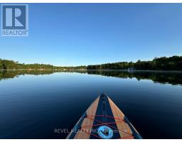 180 Lake Road, Georgian Bay, ON L0K1S0 Photo 47