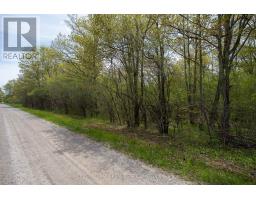 206 Simpson Road, Prince Edward County, ON K0K2P0 Photo 13