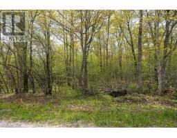 206 Simpson Road, Prince Edward County, ON K0K2P0 Photo 14