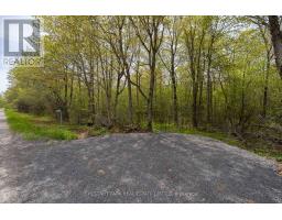 206 Simpson Road, Prince Edward County, ON K0K2P0 Photo 16