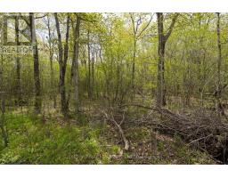 206 Simpson Road, Prince Edward County, ON K0K2P0 Photo 17