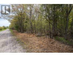 206 Simpson Road, Prince Edward County, ON K0K2P0 Photo 19
