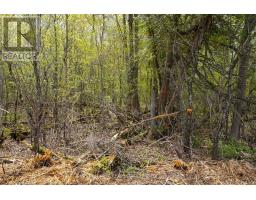 206 Simpson Road, Prince Edward County, ON K0K2P0 Photo 20