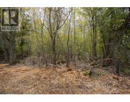 206 Simpson Road, Prince Edward County, ON K0K2P0 Photo 21