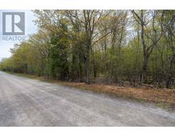 206 Simpson Road, Prince Edward County, ON K0K2P0 Photo 22