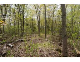 206 Simpson Road, Prince Edward County, ON K0K2P0 Photo 23