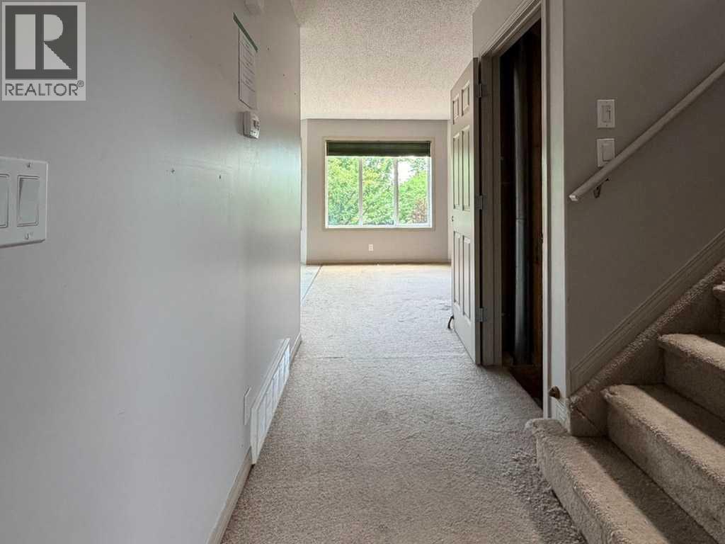 137 Cinnamon Street - 3
