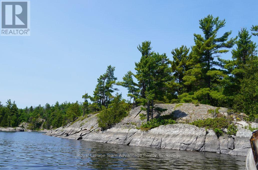 TP3411 ISLAND FRENCH RIVER - 10