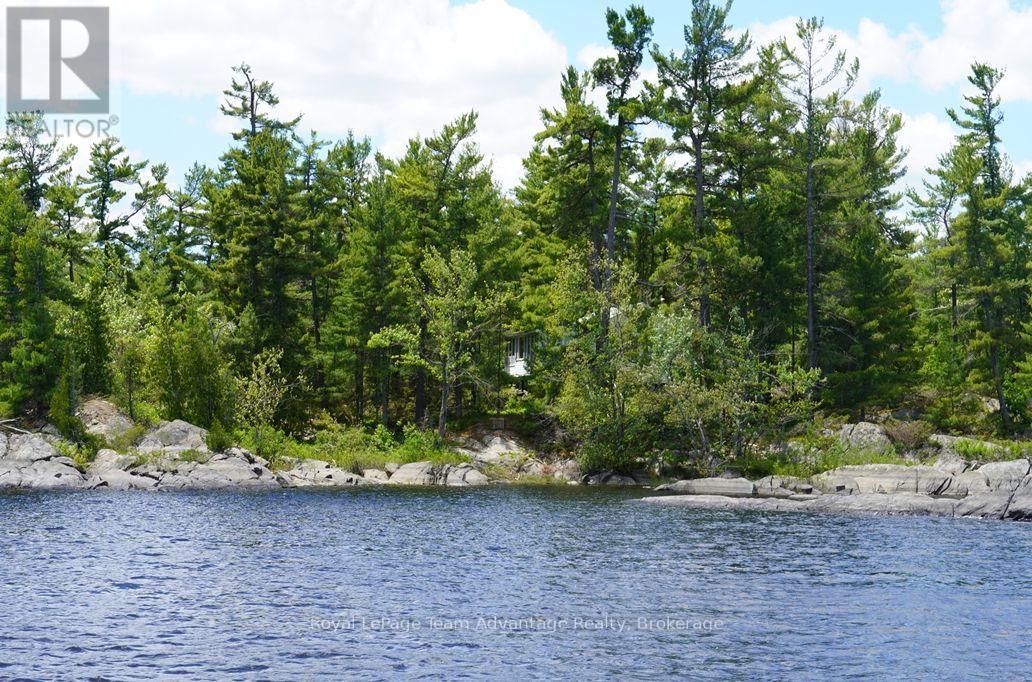 TP3411 ISLAND FRENCH RIVER - 13