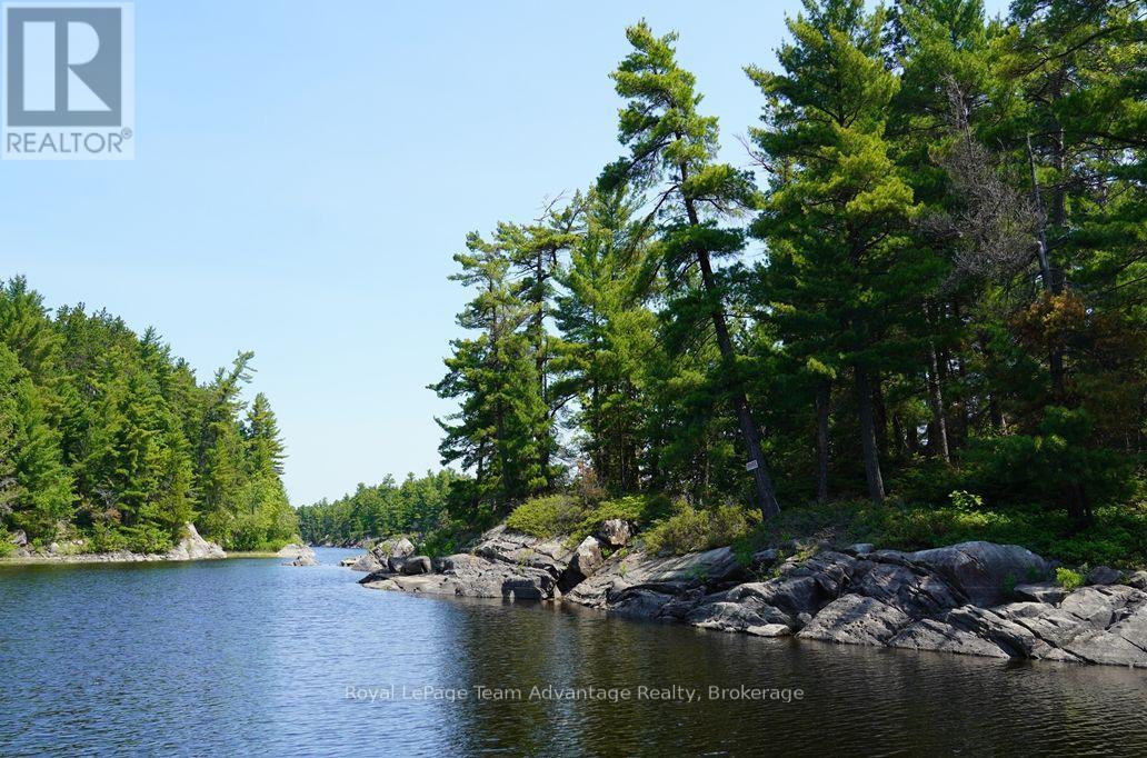 TP3411 ISLAND FRENCH RIVER - 15