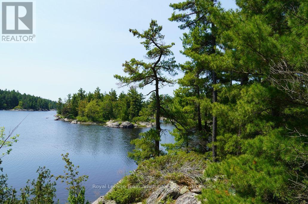 TP3411 ISLAND FRENCH RIVER - 18