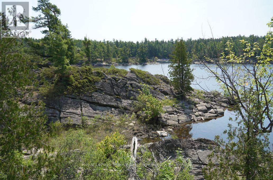 TP3411 ISLAND FRENCH RIVER - 19
