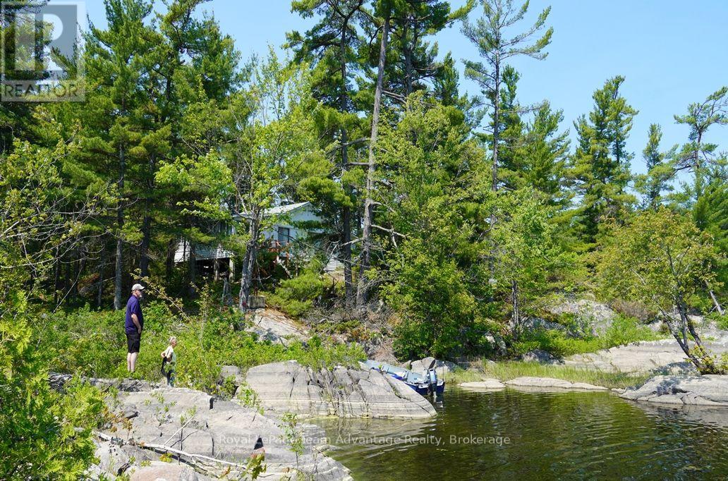 TP3411 ISLAND FRENCH RIVER - 21