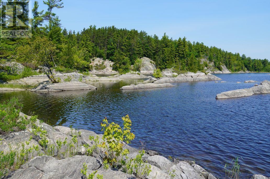 TP3411 ISLAND FRENCH RIVER - 22