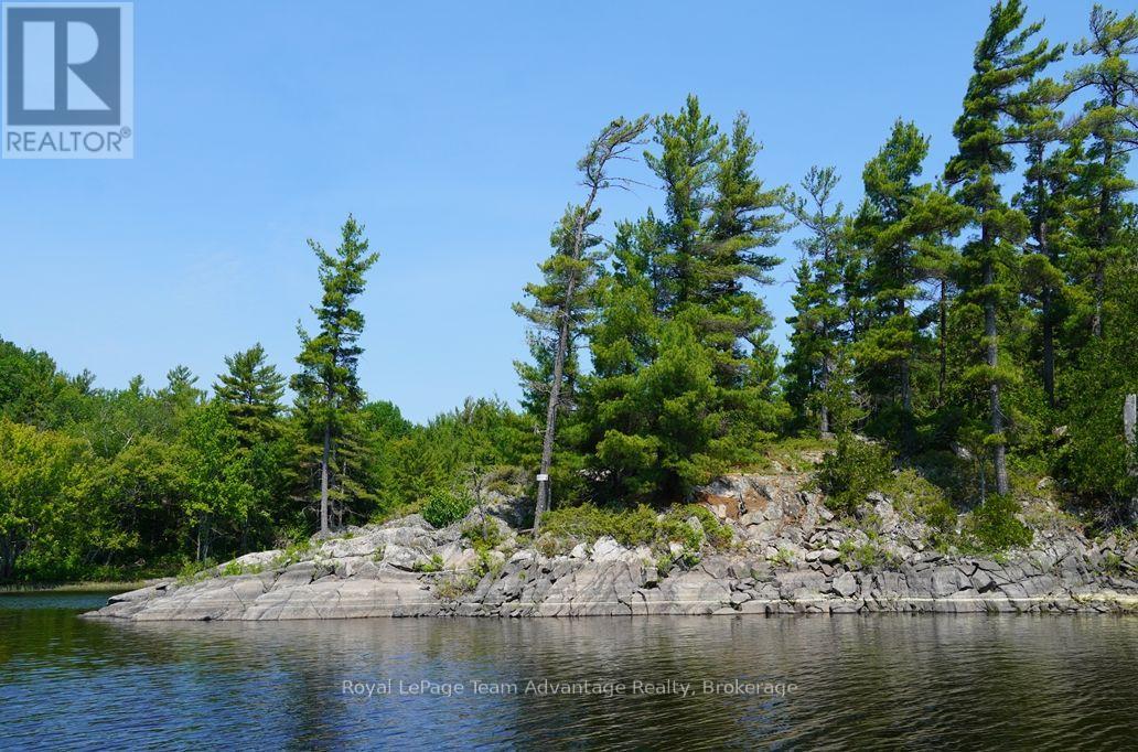 TP3411 ISLAND FRENCH RIVER - 24