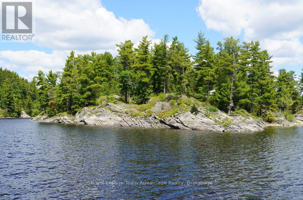 TP3411 ISLAND FRENCH RIVER - 26