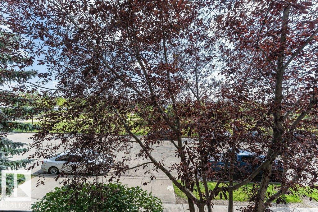 #217 245 EDWARDS DR SW - 15