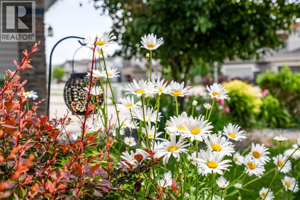 70 Everwoods Park SW - 37
