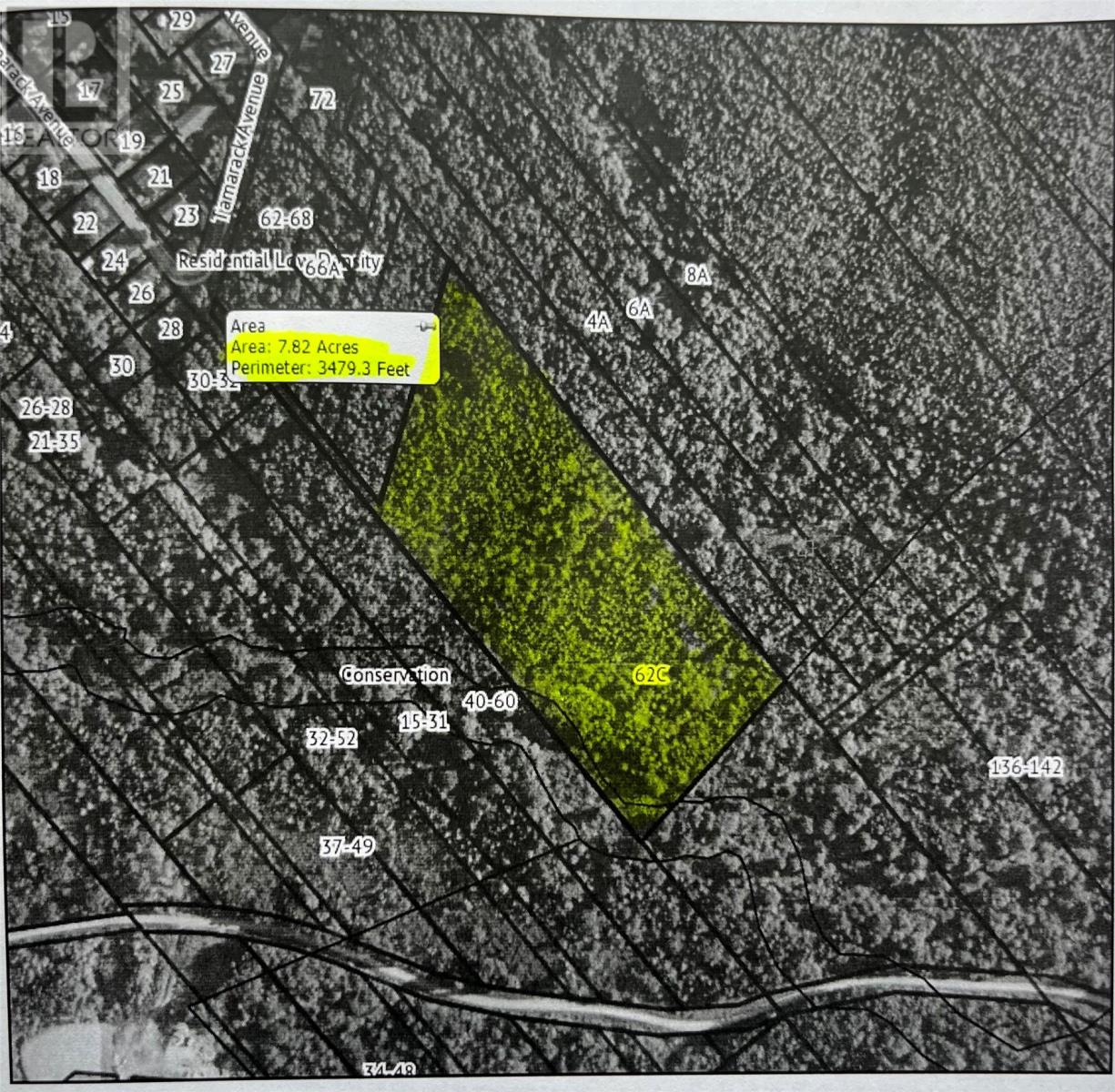 62C Tamarack Avenue thumbnail 6