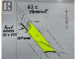 62C Tamarack Avenue thumbnail 5