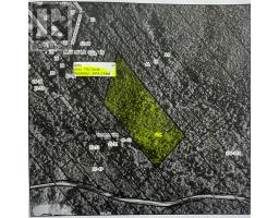 62C Tamarack Avenue thumbnail 6