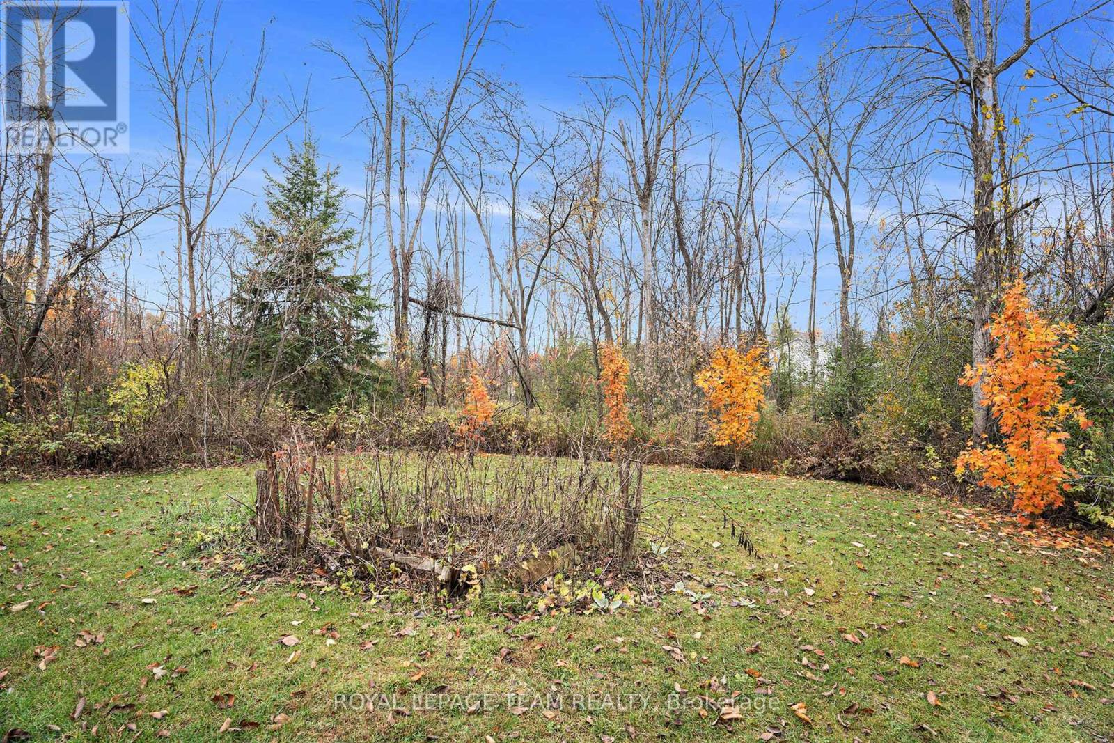 4 BLACK WALNUT ROAD - 35