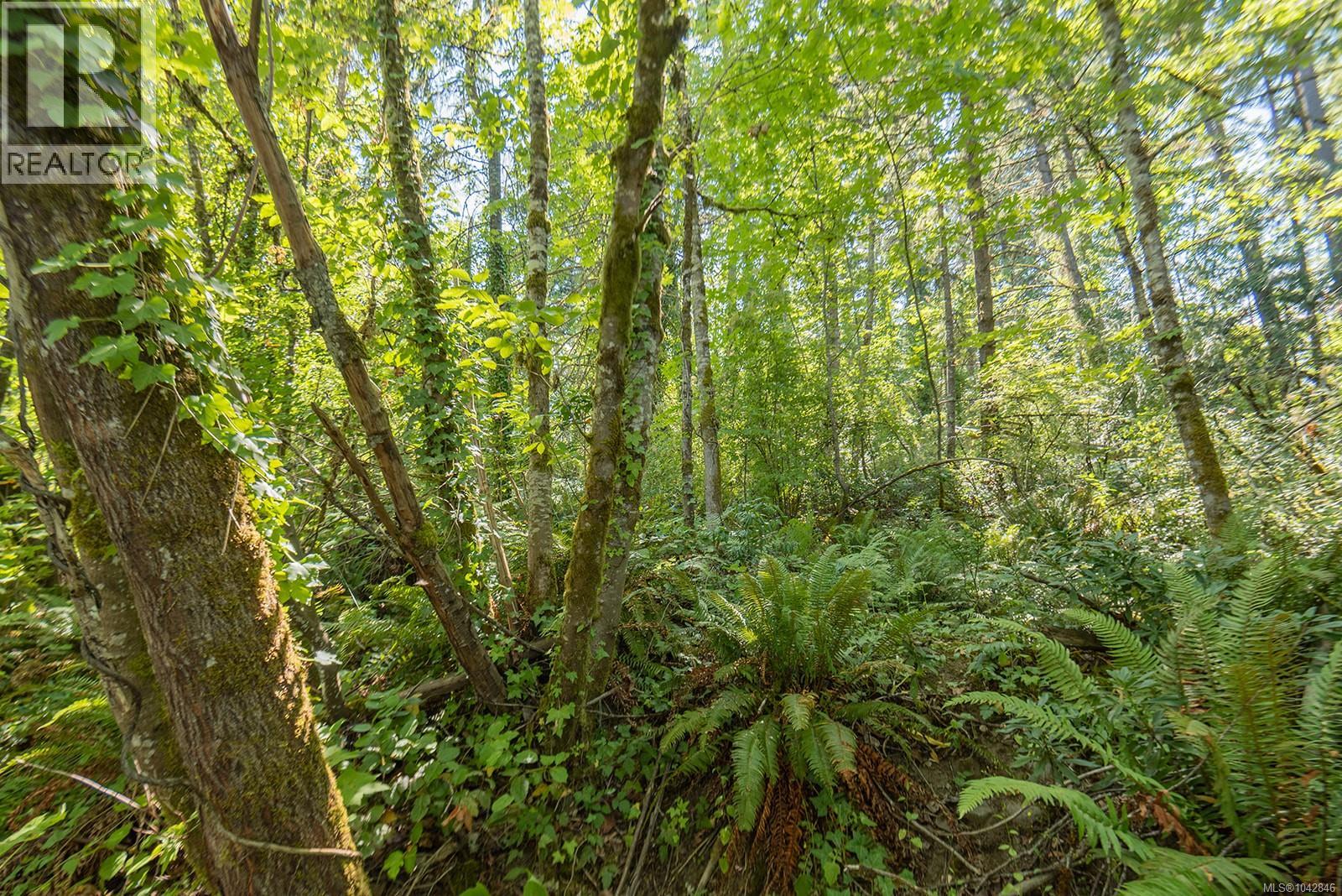 5280 Koksilah Rd - 24