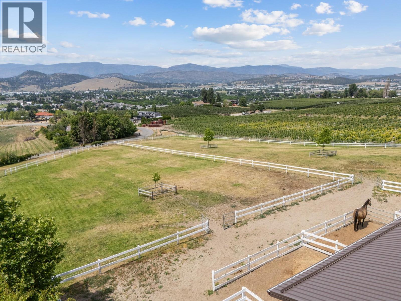 1052 Webster Road - 4