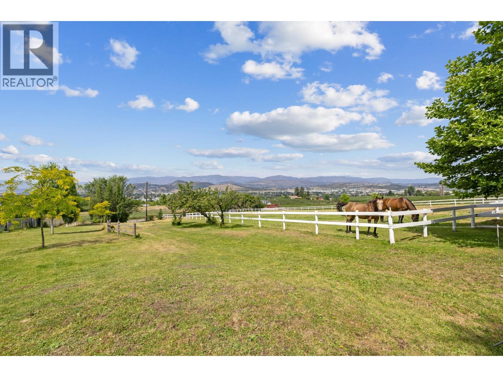 1052 Webster Road - 9
