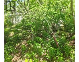 90 Crowley Road, photo 14