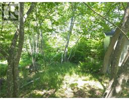Big Rock at rear of shed Est Property line as per current owner