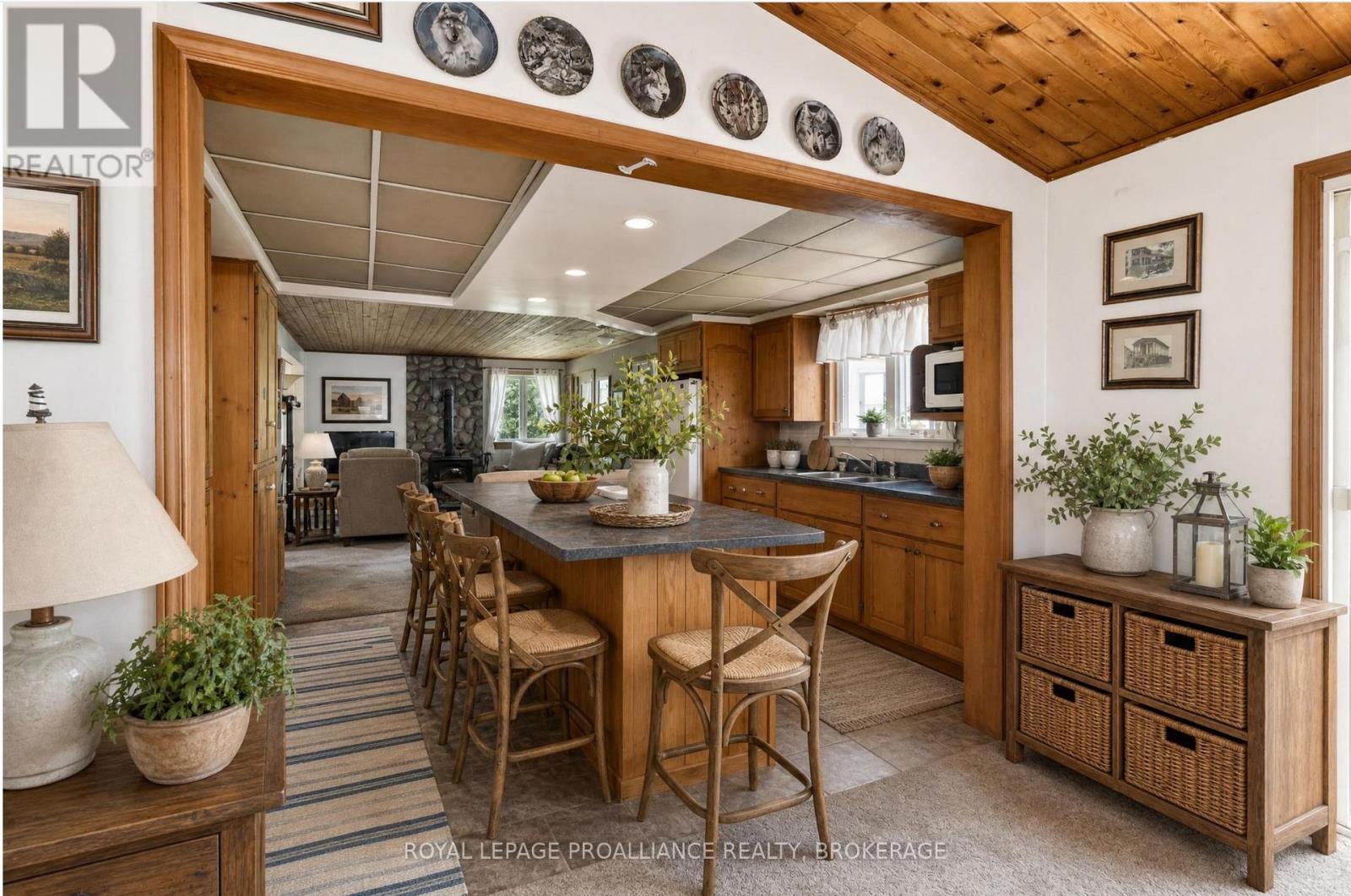 229 JOHNSON BAY LANE - 7