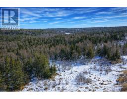 1183 Fourchu Rd, Gabarus Lake, NS B1K2E1 Photo 9