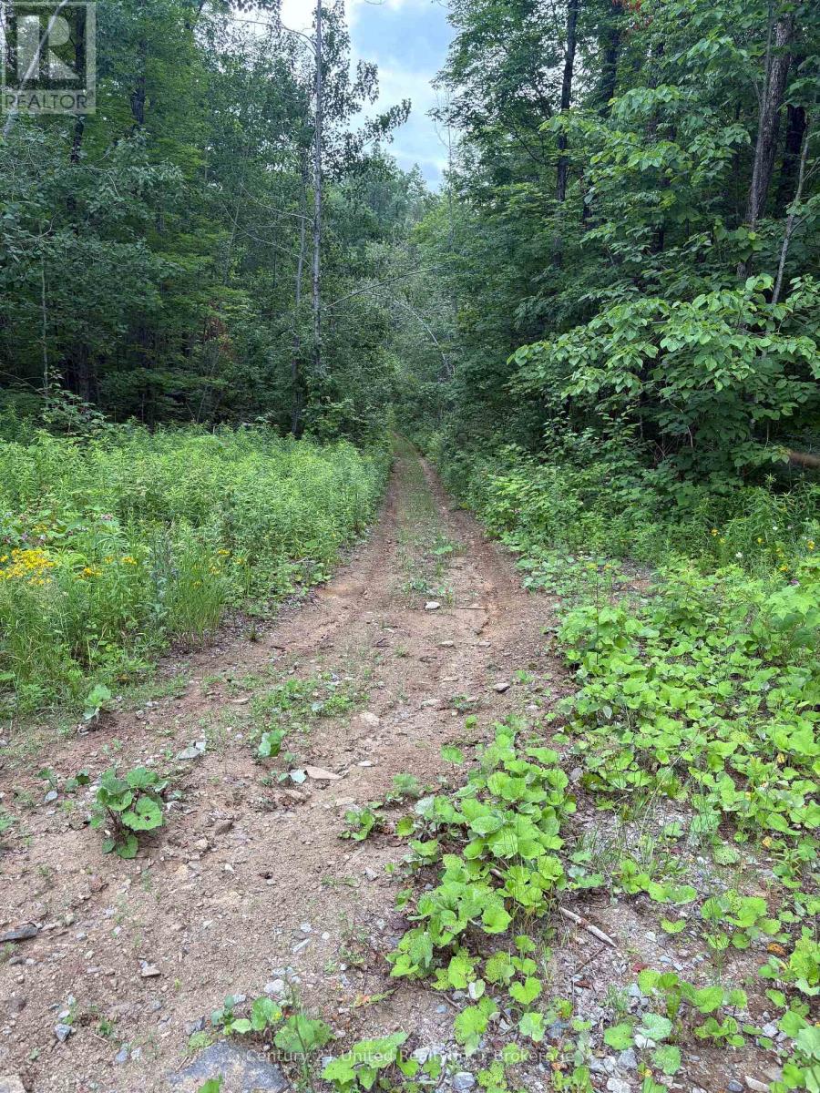 1508 FORTESQUE LAKE ROAD - 26