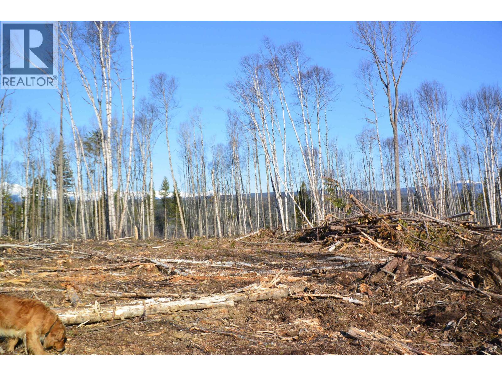 DL 811 16 Highway, New Hazelton