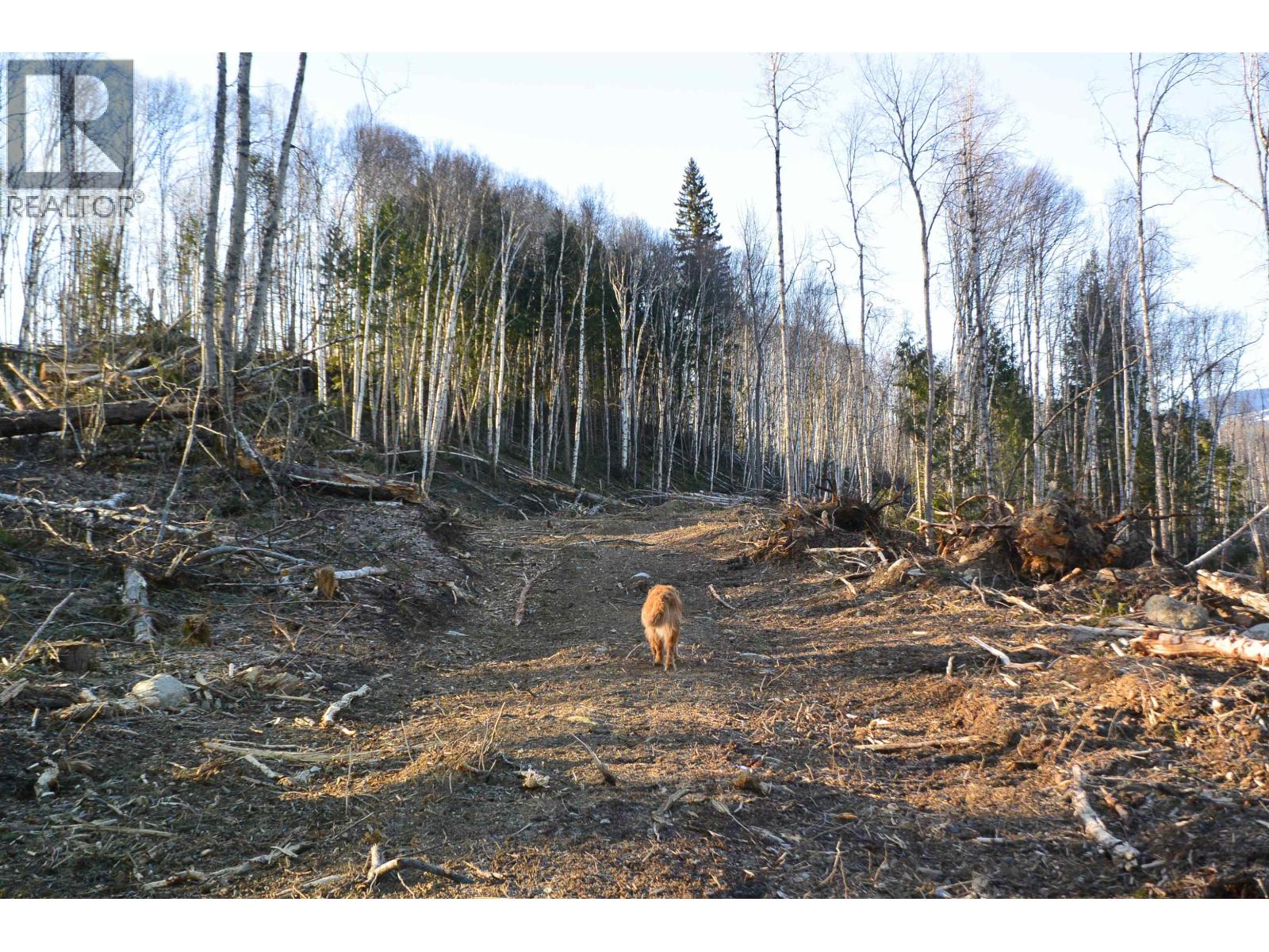 DL 811 16 Highway, New Hazelton