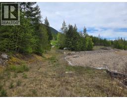 180 Lower Arrow Lake, Castlegar, BC V1N4V8 Photo 10