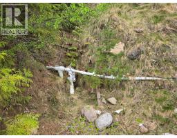 180 Lower Arrow Lake, Castlegar, BC V1N4V8 Photo 14